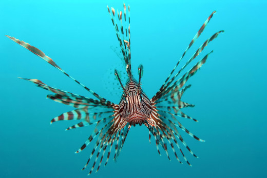 606689 (a): :2560x1707